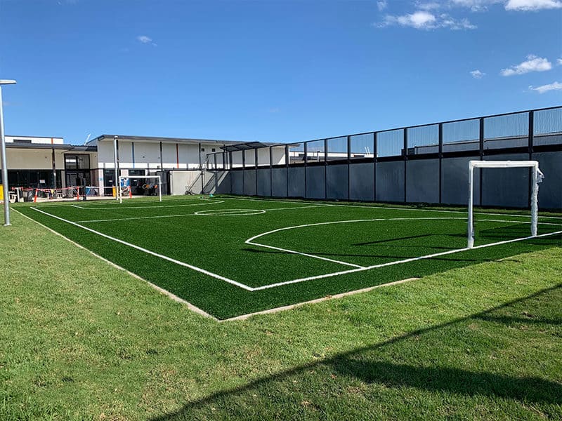 Synthetic grass case study