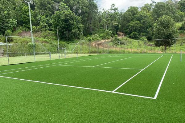 synthetic grass for sport court