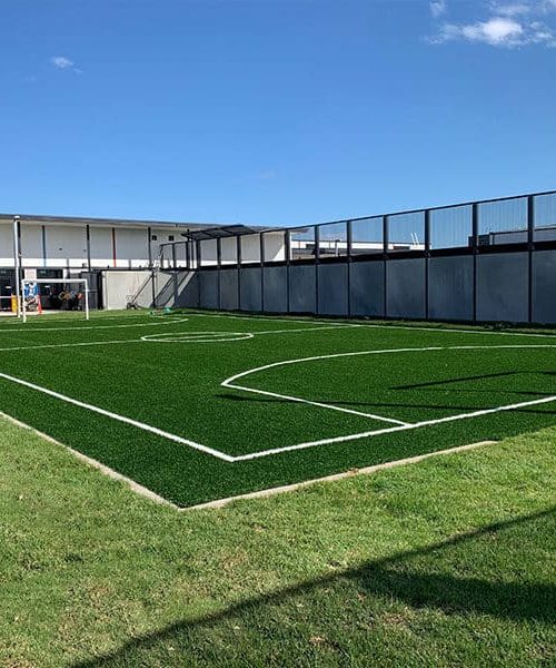 Synthetic grass case study
